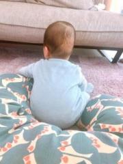 �摜(180x240)�E�g��摜(480x640)