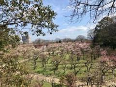 画像(240x180)・拡大画像(640x480)