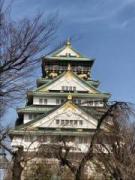 画像(135x180)・拡大画像(480x640)