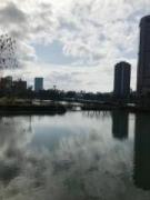 画像(135x180)・拡大画像(480x640)