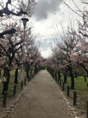 画像(180x240)・拡大画像(480x640)