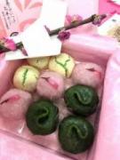 �摜(135x180)�E�g��摜(480x640)