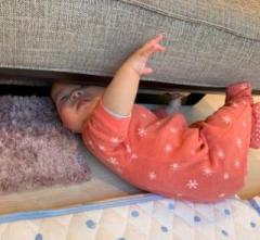 �摜(240x221)�E�g��摜(640x591)