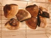 �摜(180x135)�E�g��摜(640x480)