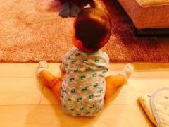 �摜(240x180)�E�g��摜(640x480)