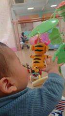 �摜(135x240)�E�g��摜(360x640)