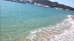 �摜(240x135)�E�g��摜(640x360)