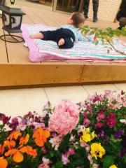 �摜(180x240)�E�g��摜(480x640)