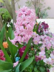 �摜(180x240)�E�g��摜(480x640)