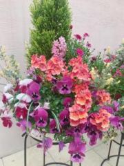 �摜(180x240)�E�g��摜(480x640)