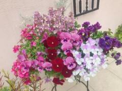 �摜(240x180)�E�g��摜(640x480)