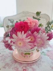 �摜(180x240)�E�g��摜(480x640)