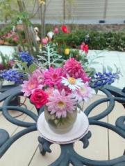 �摜(180x240)�E�g��摜(480x640)