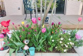 �摜(320x216)�E�g��摜(640x433)