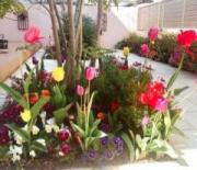 �摜(180x155)�E�g��摜(640x553)