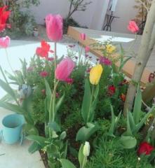 �摜(221x240)�E�g��摜(590x640)