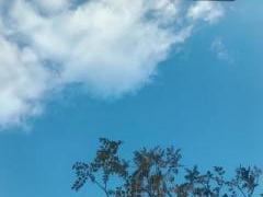 �摜(240x180)�E�g��摜(640x480)