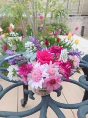 �摜(180x240)�E�g��摜(480x640)