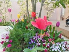 �摜(240x180)�E�g��摜(640x480)