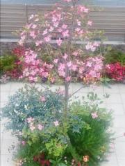 �摜(180x240)�E�g��摜(480x640)