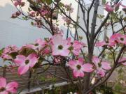 �摜(180x135)�E�g��摜(640x480)