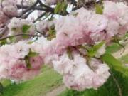 �摜(180x135)�E�g��摜(640x480)