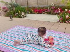 �摜(240x180)�E�g��摜(640x480)