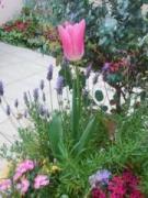 �摜(135x180)�E�g��摜(480x640)