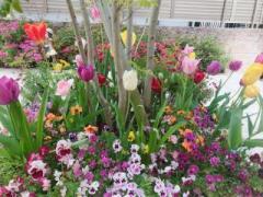 �摜(240x180)�E�g��摜(640x480)