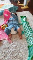 �摜(135x240)�E�g��摜(360x640)