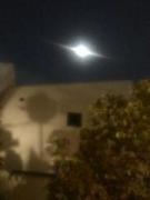 画像(135x180)・拡大画像(480x640)