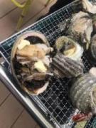 画像(135x180)・拡大画像(480x640)