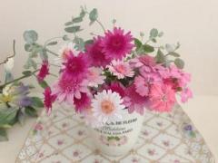 �摜(240x180)�E�g��摜(640x480)