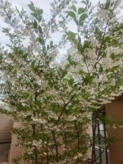 �摜(180x240)�E�g��摜(480x640)