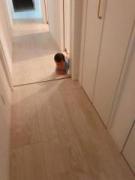 �摜(135x180)�E�g��摜(480x640)