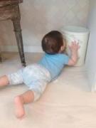 �摜(135x180)�E�g��摜(480x640)