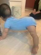 �摜(135x180)�E�g��摜(480x640)