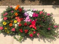 �摜(240x180)�E�g��摜(640x480)