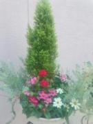 �摜(135x180)�E�g��摜(480x640)