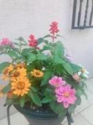 �摜(135x180)�E�g��摜(480x640)