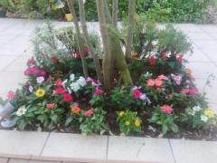 �摜(240x180)�E�g��摜(640x480)