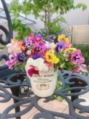 画像(180x240)・拡大画像(480x640)