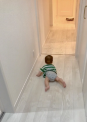 画像(172x240)・拡大画像(461x640)