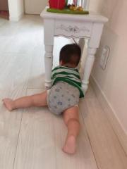 画像(180x240)・拡大画像(480x640)