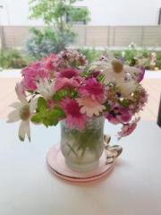 �摜(180x240)�E�g��摜(480x640)