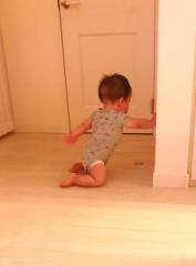 �摜(177x240)�E�g��摜(474x640)