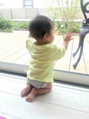 画像(180x240)・拡大画像(480x640)