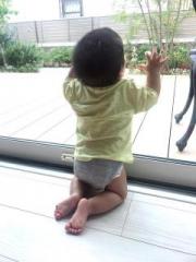 画像(180x240)・拡大画像(480x640)