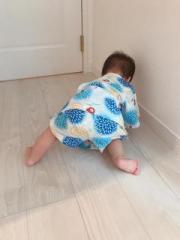 画像(180x240)・拡大画像(480x640)