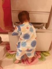 画像(180x240)・拡大画像(480x640)